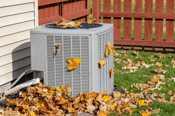Best HVAC air duct cleaning  in Honsville, GA